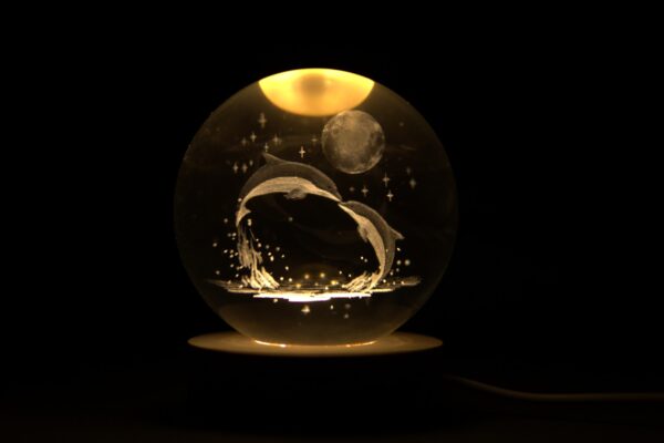 Crystal Ball Night Lamp Warm Light, Room Decoration Led Night Light with Colorful Wooden Gift for Men,Women (Dolphin)